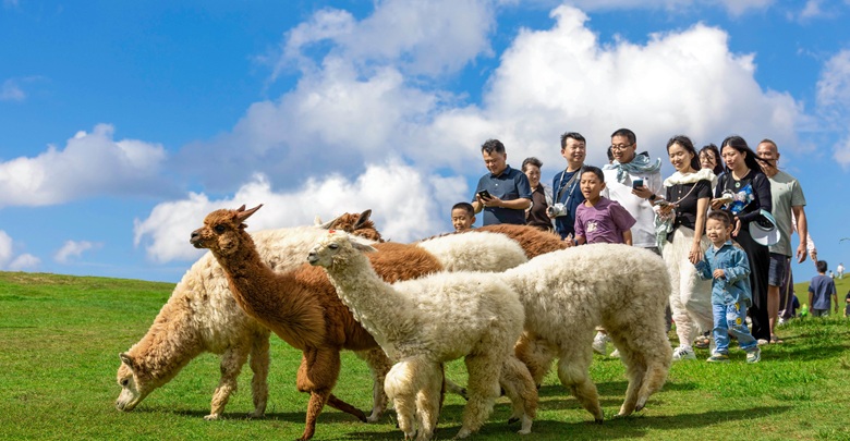 “網(wǎng)紅景點(diǎn)”別樣紅