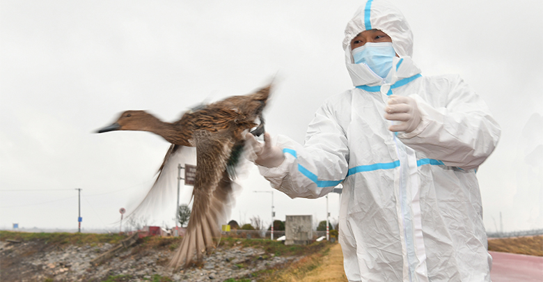 振翅再出發(fā)