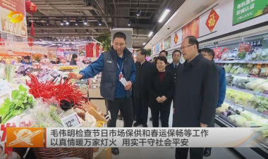視頻丨毛偉明檢查節(jié)日市場(chǎng)保供和春運(yùn)保...